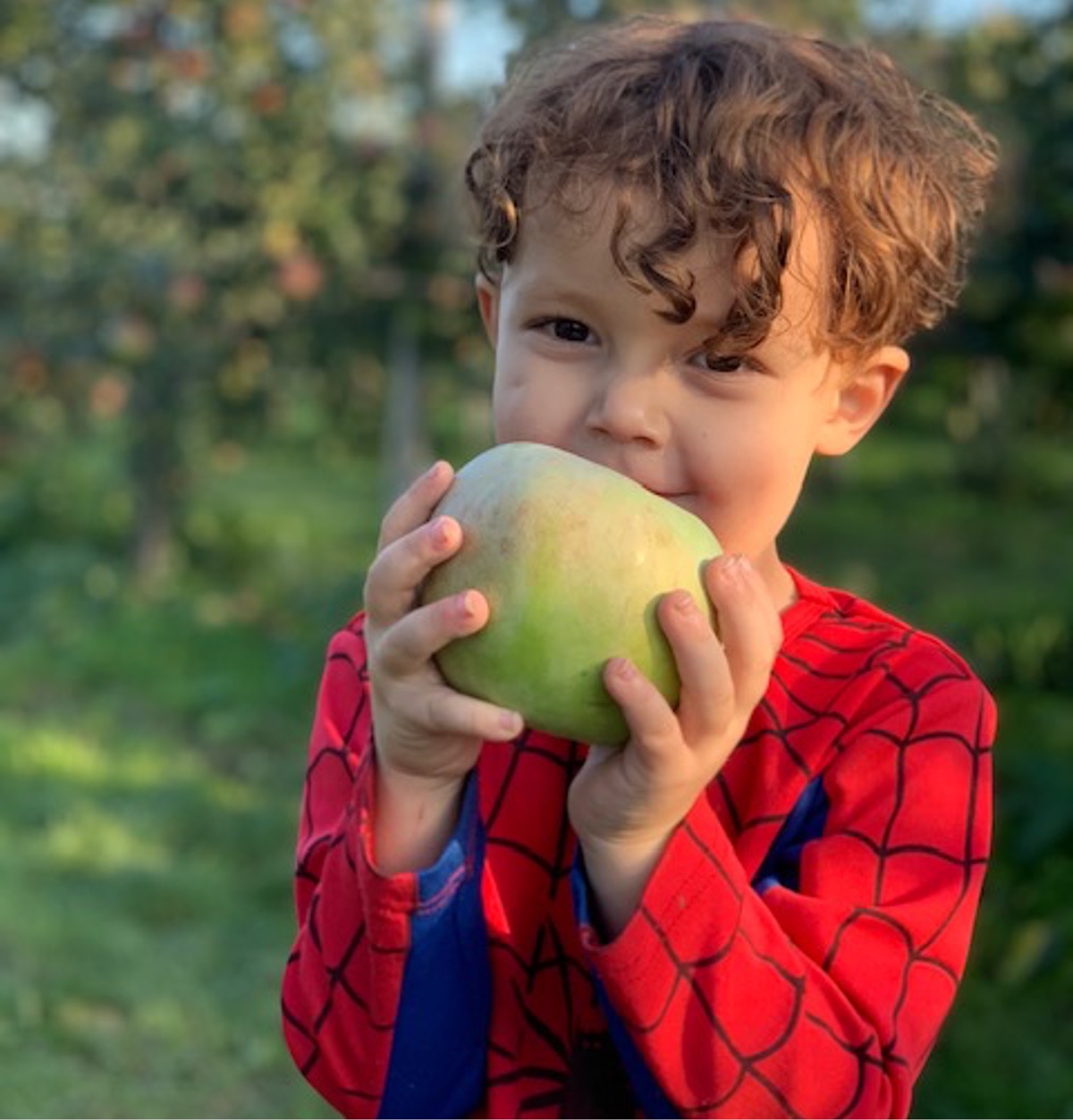 Kid apple picking